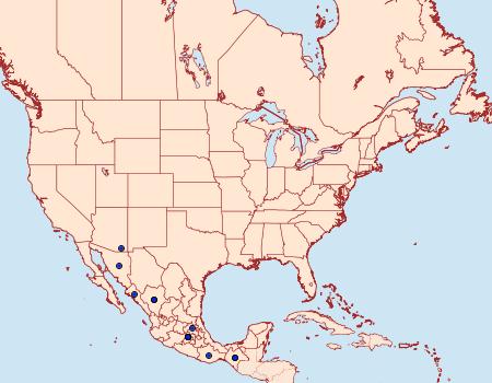 Distribution Data for Richia herculeana