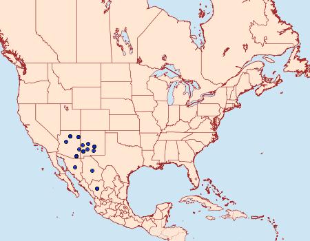 Distribution Data for Richia serano