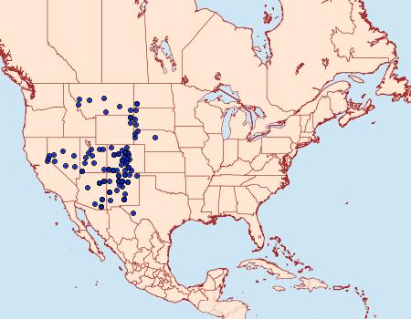 Distribution Data for Richia parentalis