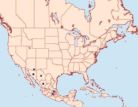 Distribution Data for Dichagyris pyrsogramma