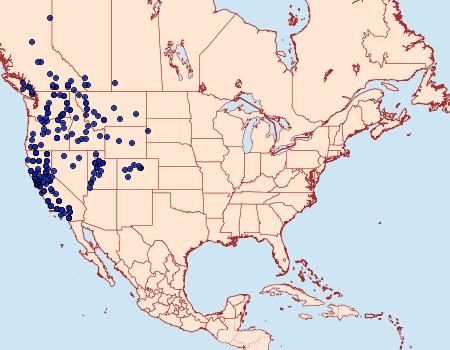 Distribution Data for Dichagyris variabilis