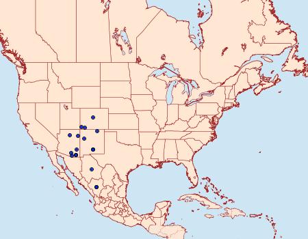 Distribution Data for Dichagyris grandipennis