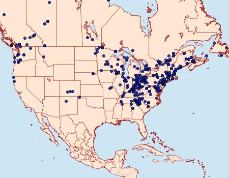 Distribution Data for Ochropleura implecta