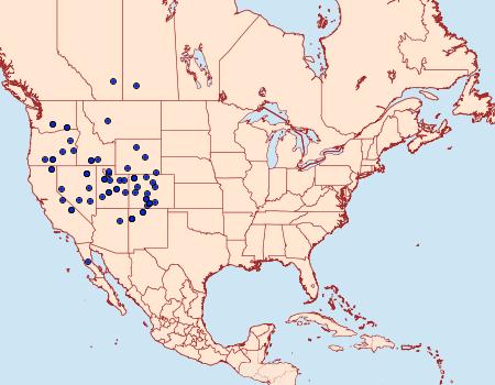 Distribution Data for Protogygia postera