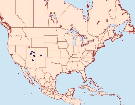 Distribution Data for Protogygia rufescens