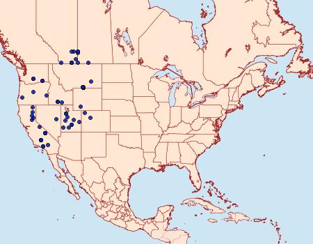 Distribution Data for Protogygia enalaga