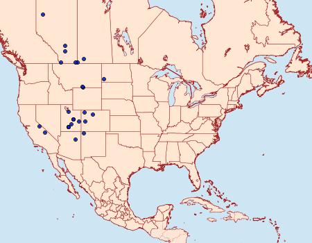 Distribution Data for Protogygia querula