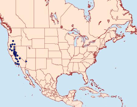 Distribution Data for Protogygia milleri