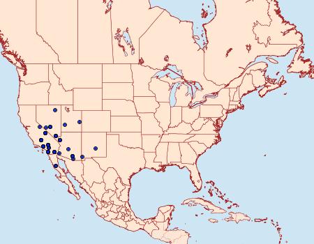 Distribution Data for Protogygia biclavis