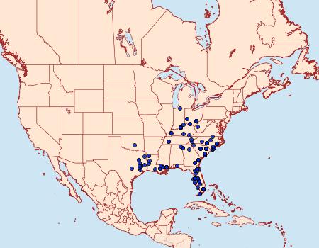 Distribution Data for Anicla lubricans