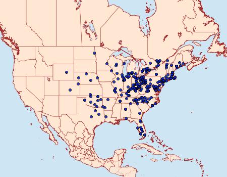 Distribution Data for Anicla illapsa