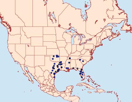 Distribution Data for Anicla simplicius