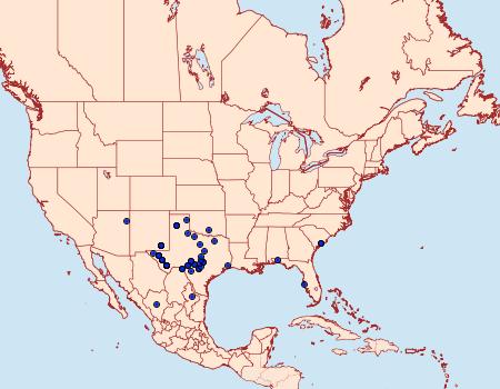 Distribution Data for Anicla digna