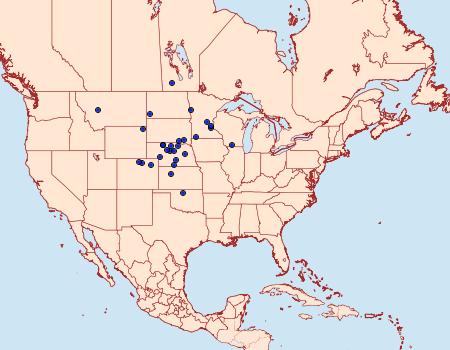 Distribution Data for Anicla tenuescens