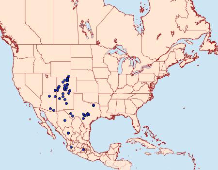 Distribution Data for Anicla espoetia