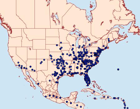 Distribution Data for Anicla infecta