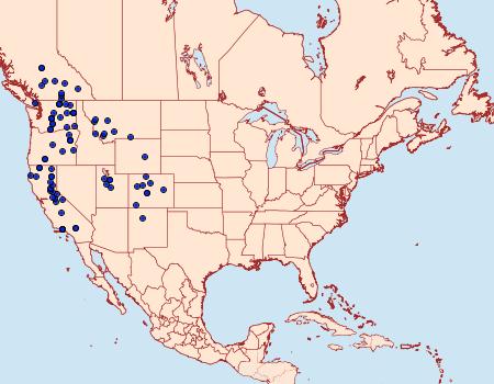 Distribution Data for Euxoa bochus