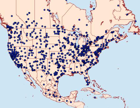 Distribution Data for Peridroma saucia