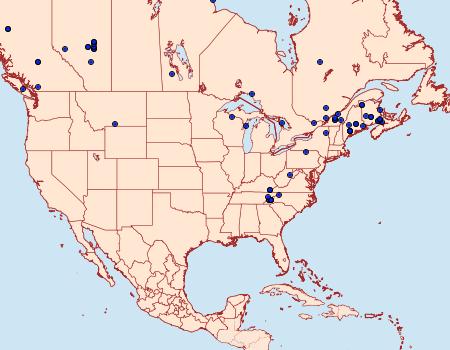 Distribution Data for Diarsia rubifera