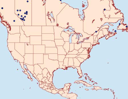 Distribution Data for Diarsia dislocata