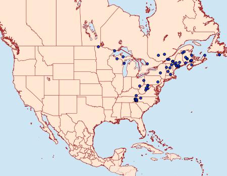 Distribution Data for Diarsia jucunda