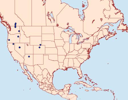 Distribution Data for Elachista hololeuca