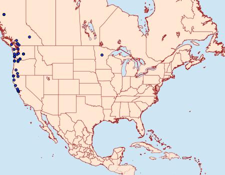 Distribution Data for Diarsia esurialis