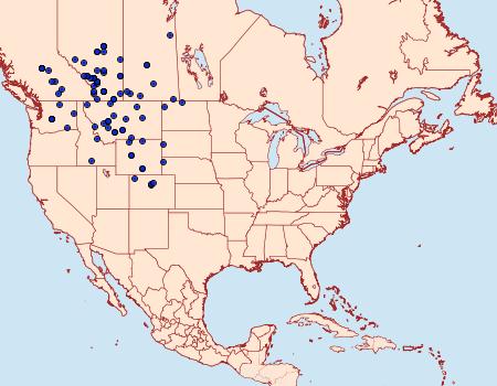 Distribution Data for Actebia balanitis