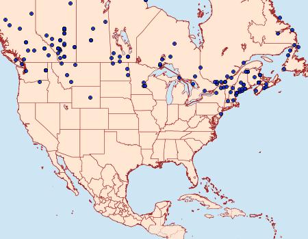 Distribution Data for Actebia fennica