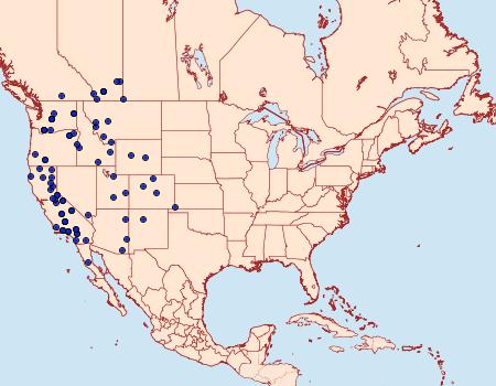 Distribution Data for Spaelotis bicava