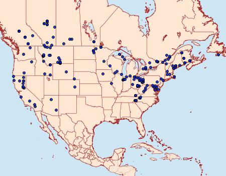 Distribution Data for Spaelotis clandestina