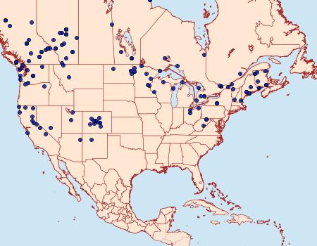 Distribution Data for Graphiphora augur