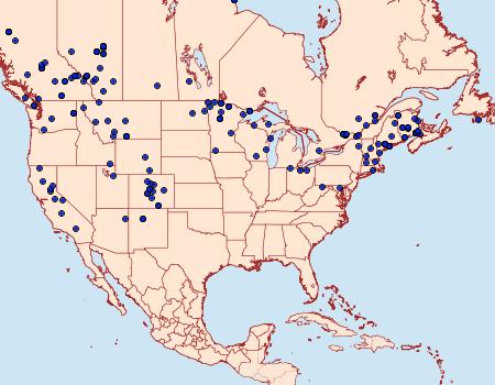 Distribution Data for Eurois occulta