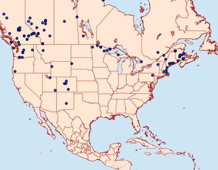 Distribution Data for Eurois astricta