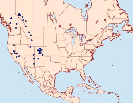 Distribution Data for Eurois nigra