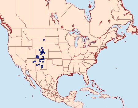 Distribution Data for Richia praefixa