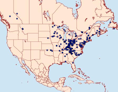 Distribution Data for Xestia dolosa