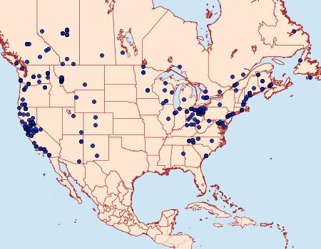 Distribution Data for Xestia c-nigrum