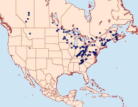 Distribution Data for Xestia normanianus