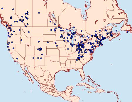 Distribution Data for Xestia smithii