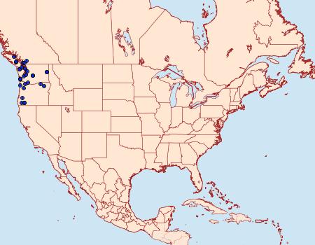 Distribution Data for Xestia xanthographa