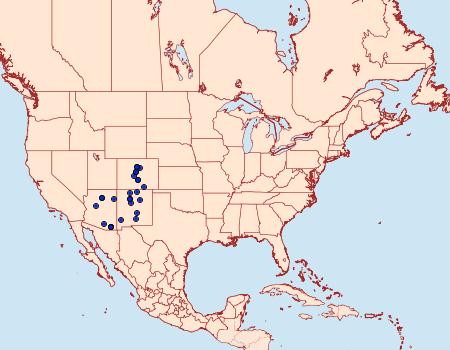 Distribution Data for Xestia conchis