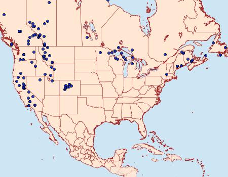 Distribution Data for Xestia oblata