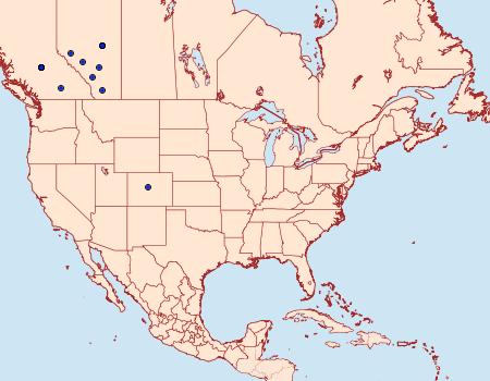 Distribution Data for Prognorisma substrigata