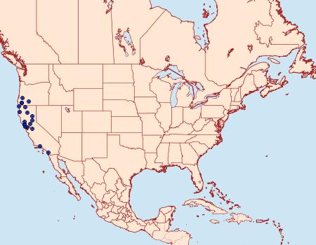 Distribution Data for Xestia cinerascens