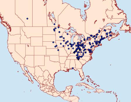 Distribution Data for Pseudohermonassa bicarnea