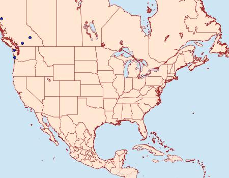 Distribution Data for Pseudohermonassa flavotincta