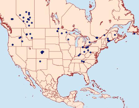 Distribution Data for Agnorisma bugrai