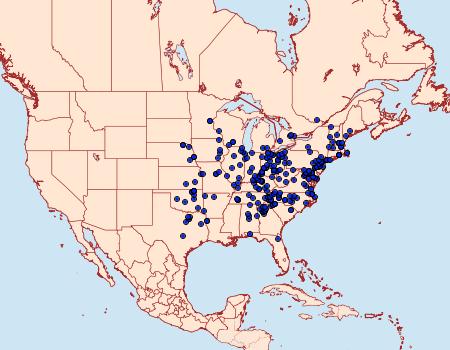 Distribution Data for Agnorisma badinodis