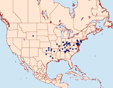 Distribution Data for Agnorisma bollii